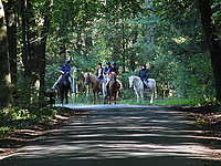 Durch-den-Bach-reiten_01.JPG