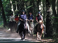 Durch-den-Bach-reiten_02.JPG