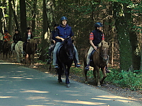 Durch-den-Bach-reiten_03.JPG