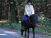 Durch-den-Bach-reiten_04.JPG