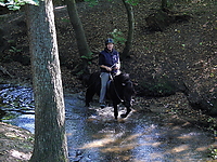 Durch-den-Bach-reiten_06.JPG