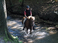 Durch-den-Bach-reiten_07.JPG