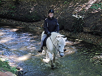 Durch-den-Bach-reiten_09.JPG