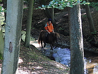 Durch-den-Bach-reiten_10.JPG