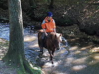 Durch-den-Bach-reiten_11.JPG