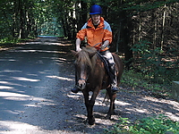 Durch-den-Bach-reiten_13.JPG