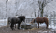 Wintereinbruch-Islaenderhof-Rutenmuehle_08.jpg