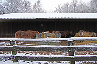 Wintereinbruch-Islaenderhof-Rutenmuehle_10.jpg