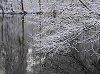 Wintereinbruch-Islaenderhof-Rutenmuehle_13.jpg