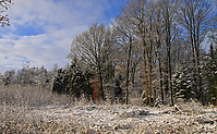 Wintereinbruch-Islaenderhof-Rutenmuehle_28.jpg