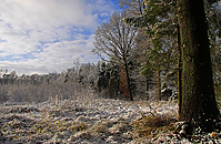 Wintereinbruch-Islaenderhof-Rutenmuehle_29.jpg