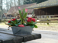 Dateiname=P1040638.jpg
Dateigröße=342KB
Abmessungen: 800x600
hinzugefügt am: 18. Februar 2008 P1040638.jpg