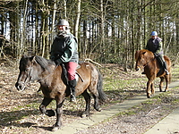 Dateiname=P1040703.jpg
Dateigröße=483KB
Abmessungen: 800x600
hinzugefügt am: 18. Februar 2008 P1040703.jpg
