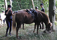 Heide-Ritt-Samstag_07.jpg