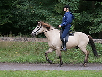 Islaenderhof-Ausritt_02.jpg