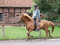 Islaenderhof-Ausritt_08.jpg