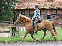 Islaenderhof-Ausritt_10.jpg