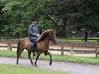 Dateiname=Islaenderhof-Ausritt_39.jpg
Dateigröße=227KB
Abmessungen: 799x600
hinzugefügt am: 21. Juli 2008 Islaenderhof-Ausritt_39.jpg