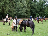 Dateiname=Islaenderhof-Ausritt_41.jpg
Dateigröße=300KB
Abmessungen: 800x600
hinzugefügt am: 21. Juli 2008 Islaenderhof-Ausritt_41.jpg