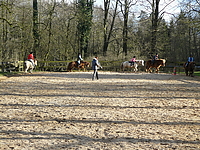 islandpferde_reitschule_entlastungssitz.jpg