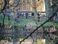 P1030374.jpg