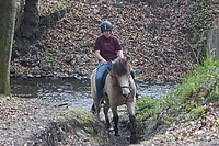 Samstag-Sternritt-00097.JPG