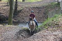 Samstag-Sternritt-00099.JPG