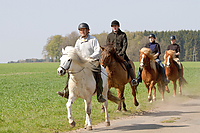 Sternritt-04-2010-2468.jpg