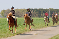 Sternritt-04-2010-2479.jpg