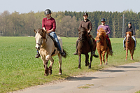 Sternritt-04-2010-2482.jpg