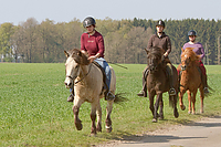 Sternritt-04-2010-2484.jpg