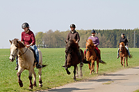 Sternritt-04-2010-2485.jpg