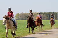 Sternritt-04-2010-2486.jpg