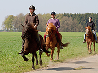 Sternritt-04-2010-2488.jpg