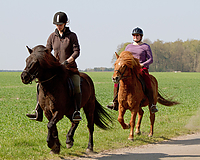 Sternritt-04-2010-2491.jpg