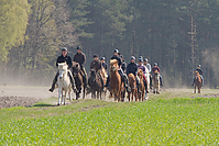 Sternritt-04-2010-2559.jpg