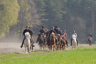 Sternritt-04-2010-2561.jpg