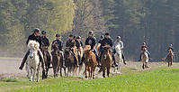 Sternritt-04-2010-2581.jpg