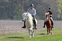 Sternritt-04-2010-2628-11.jpg