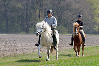 Sternritt-04-2010-2628-13.jpg