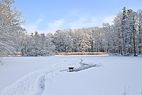 Islaenderhof-Weihnachten--118.jpg