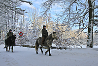 Islaenderhof-Weihnachten--149.jpg