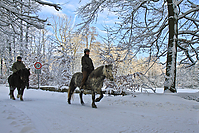 Islaenderhof-Weihnachten--150.jpg