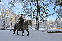 Islaenderhof-Weihnachten--151.jpg