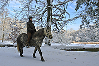 Islaenderhof-Weihnachten--152.jpg