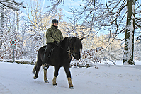 Islaenderhof-Weihnachten--154.jpg