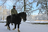 Islaenderhof-Weihnachten--156.jpg