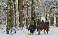 Islaenderhof-Weihnachten--157.jpg