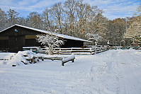 Islaenderhof-Weihnachten--163.jpg