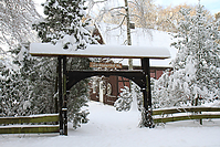 Islaenderhof-Weihnachten--172.jpg